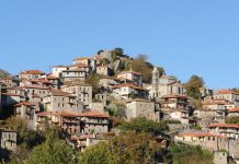 Δ.Ε. Δημητσάνας