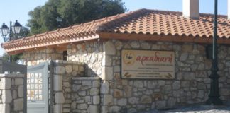 11psari