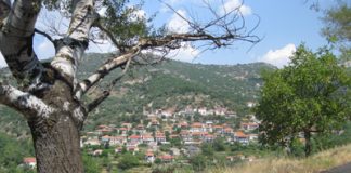 kontovazaina1.e-gortynia.gr