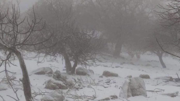 Χιόνια και χαμηλές θερμοκρασίες
