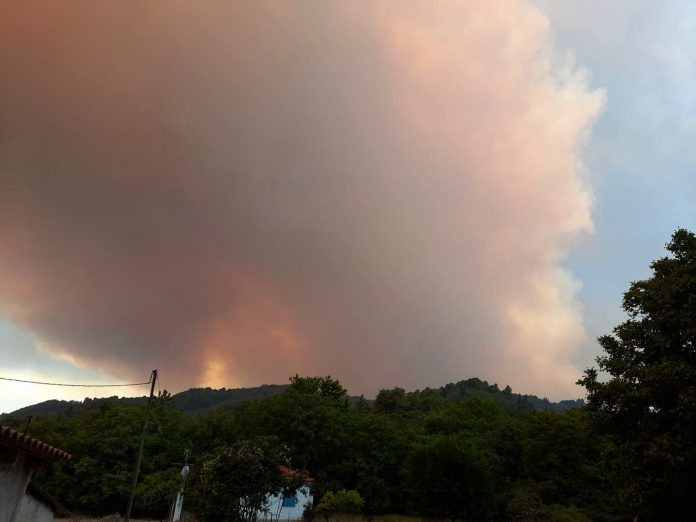 Αναζωπύρωση της φωτιάς στη Γορτυνία – Εκκενώνεται η Χώρα Γορτυνίας