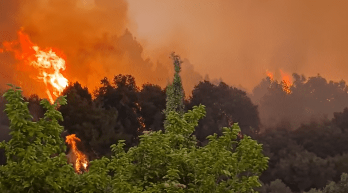 Ο πύρινος εφιάλτης επιστρέφει στη Γορτυνία – Πολλαπλά μέτωπα (ανανέωση)