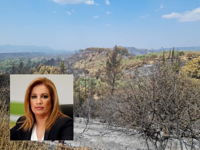 Στη Γορτυνία σήμερα η πρόεδρος του Κινήματος Αλλαγής Φώφη Γεννηματά