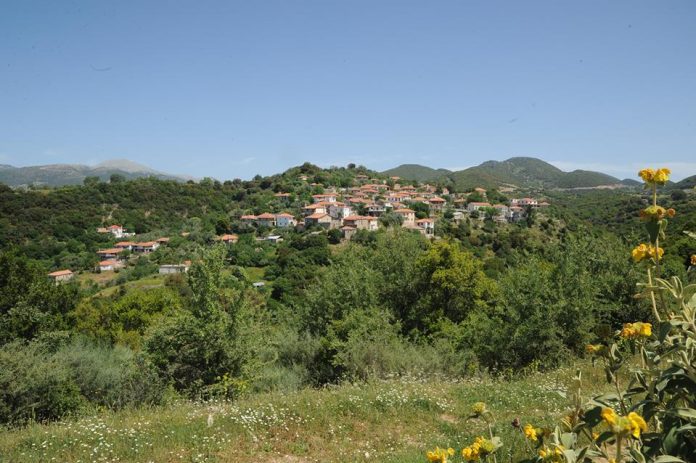 Νέα Διοίκηση στο Σύλλογο Βυδιακιτών