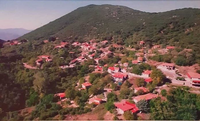 Το νέο Δ.Σ. της Αδελφότητας Ψαραίων Ηραίας