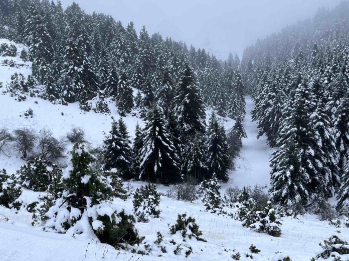 Όλοι οι αναβατήρες σε λειτουργία στο Χιονοδρομικό Μαινάλου!