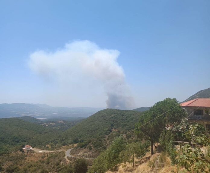 Πυρκαγιά στη Γορτυνία: Απομακρύνθηκε ο κίνδυνος – Συνεχίζονται οι επιχειρήσεις