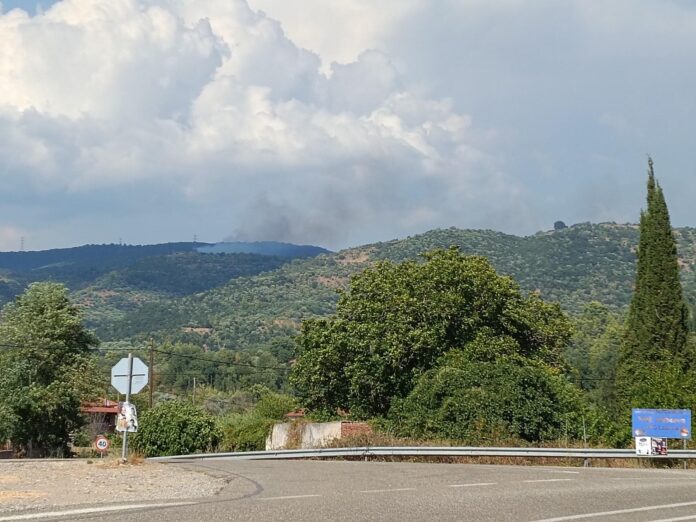 Υπό έλεγχο η φωτιά στο Σπάθαρη Γορτυνίας (ph-video)
