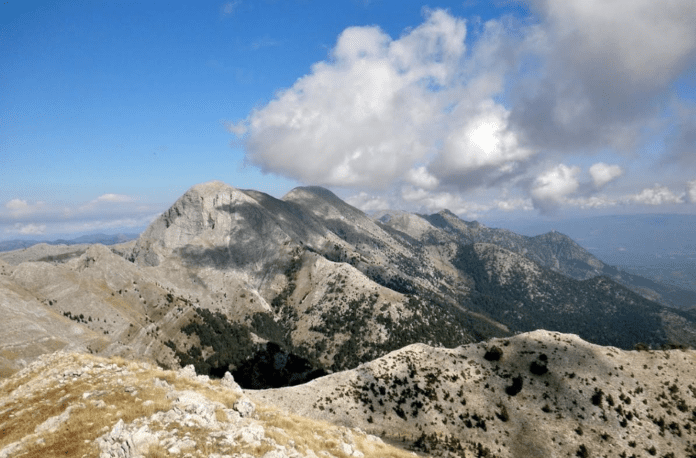 monopatia