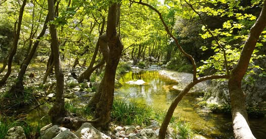Εξόρμηση ΣΑΟΟ στον Πάρνωνα