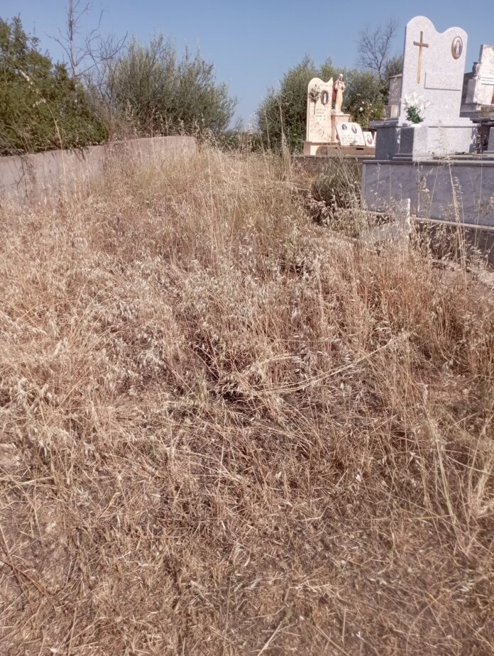 Εργασίες καθαρισμού στο Πυρρή