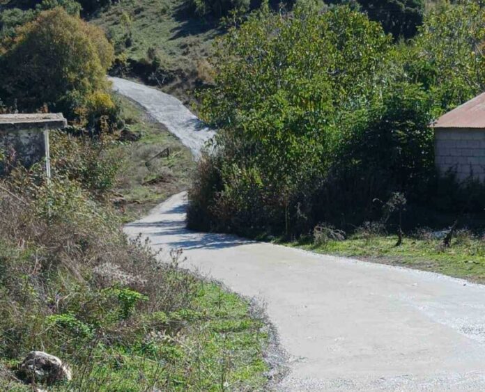 Ολοκληρώθηκε το έργο “Βελτίωση Πρόσβασης σε Γεωργική Γη και Κτηνοτροφικές Εκμεταλλεύσεις Δήμου Γορτυνίας”