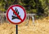 Απαγόρευση κυκλοφορίας οχημάτων και παραμονής εκδρομέων σε περιοχές NATURA, δασικά οικοσυστήματα, πάρκα και άλση της Π.Ε. Αρκαδίας