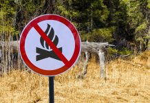 Απαγόρευση κυκλοφορίας οχημάτων και παραμονής εκδρομέων σε περιοχές NATURA, δασικά οικοσυστήματα, πάρκα και άλση της Π.Ε. Αρκαδίας