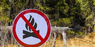 Απαγόρευση κυκλοφορίας οχημάτων και παραμονής εκδρομέων σε περιοχές NATURA, δασικά οικοσυστήματα, πάρκα και άλση της Π.Ε. Αρκαδίας