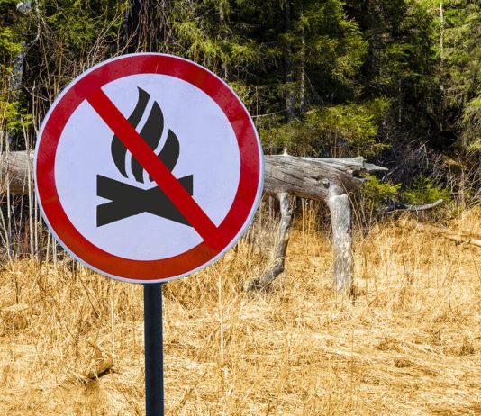 Απαγόρευση κυκλοφορίας οχημάτων και παραμονής εκδρομέων σε περιοχές NATURA, δασικά οικοσυστήματα, πάρκα και άλση της Π.Ε. Αρκαδίας