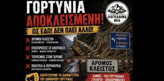Η Γορτυνία δεν αντέχει άλλη εγκατάλειψη – Ώρα για αγώνα και όχι για σιωπή