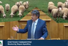 Γιαννακούρας: Να μην πληρώσουν οι παραγωγοί το κόστος των μέτρων για την ευλογιά