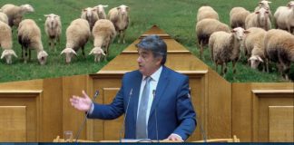 Γιαννακούρας: Να μην πληρώσουν οι παραγωγοί το κόστος των μέτρων για την ευλογιά