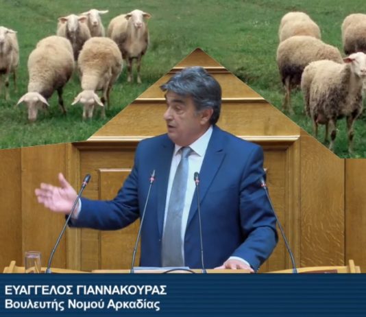 Γιαννακούρας: Να μην πληρώσουν οι παραγωγοί το κόστος των μέτρων για την ευλογιά