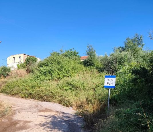 Εργασίες καθαρισμού και συντήρησης στο Πυρί